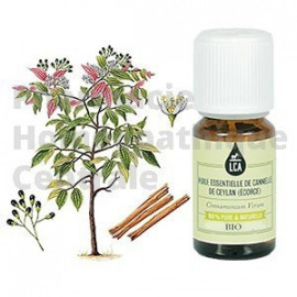 Cannelle de Ceylan écorce, huile essentielle bio LCA Cinnamomum zeylanicum