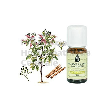 Cannelle de Ceylan écorce, huile essentielle bio LCA Cinnamomum zeylanicum