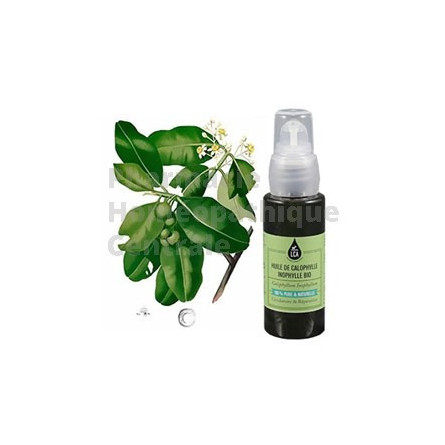 Huile végétale de calophylle inophyle bio tonique circulatoire et anti-inflammatoire en application locale