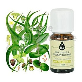 Huile essentielle d'Eucalyptus citronné bio  en cas  d'arthrose, tendinites