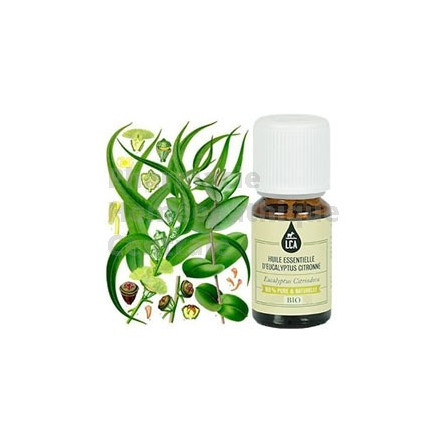 Huile essentielle d'Eucalyptus citronné bio  en cas  d'arthrose, tendinites