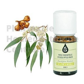 L'Huile essentielle d'eucalyptus radié bio est un allié de choix pour toutes infections hivernales. 