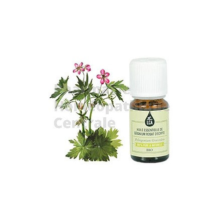 GERANIUM ROSAT d'EGYPTE - HUILE ESSENTIELLE BIO LCA