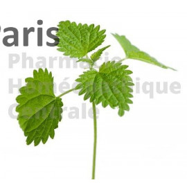 ORTIE (racines) Urtica dioïca  pour les troubles de la prostate et l'acné de l'adolescent.