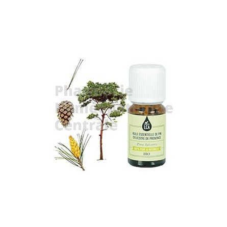 L'Huile essentielle de pin sylvestre bio soulage les  jambes lourdes, varices. Laboratoire LCA