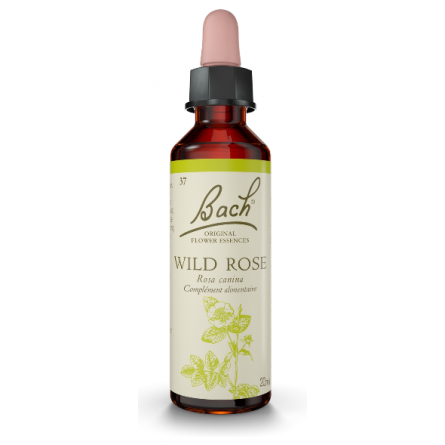 Fleurs de Bach Wild Rose  n°37 - résignation Rescue 