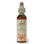 Fleurs de Bach Red Chesnut n°25 - souci excessif pour autrui Rescue et Fleurs De Bach Original