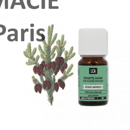 Huile essentielle d'épinette noire ; fatigue ou de coup de pompe flacon de 5mL