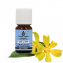 YLANG YLANG COMPLETE - HUILE ESSENTIELLE BIO LCA