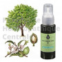 AMANDE DOUCE - Prunus amygdalus - HUILE VEGETALE BIO LCA 