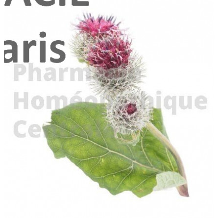 BARDANE Arctium lappa - racine en sachet de 75g  Plante phare de l'acné et de la surproduction de sébum