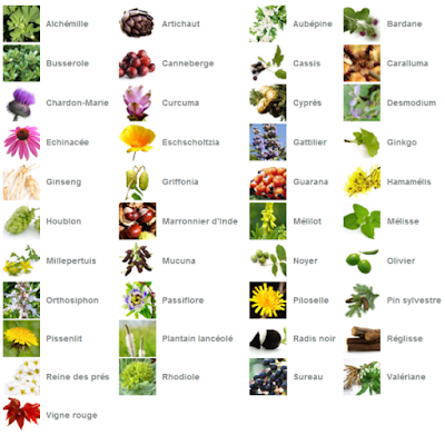 Les 56 Extraits Plantes Fraîches Standardisées de Phytoprevent