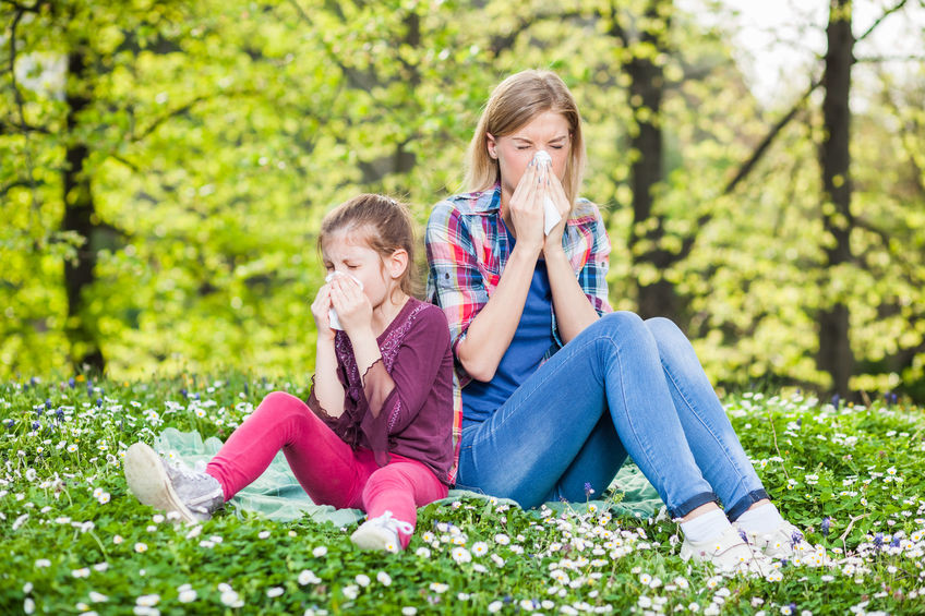 Allergie - rhume des foins