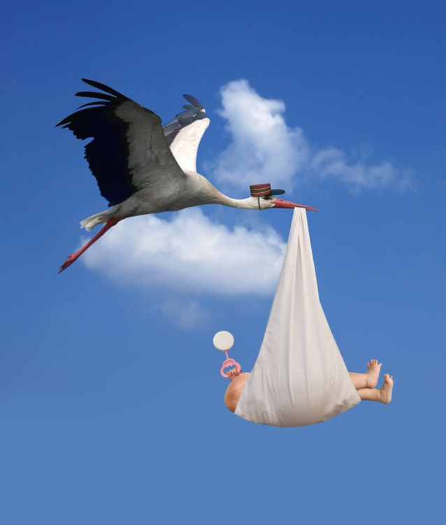 Fertilité