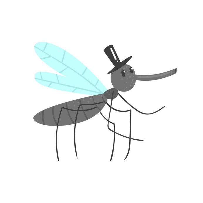 Piqûres insectes