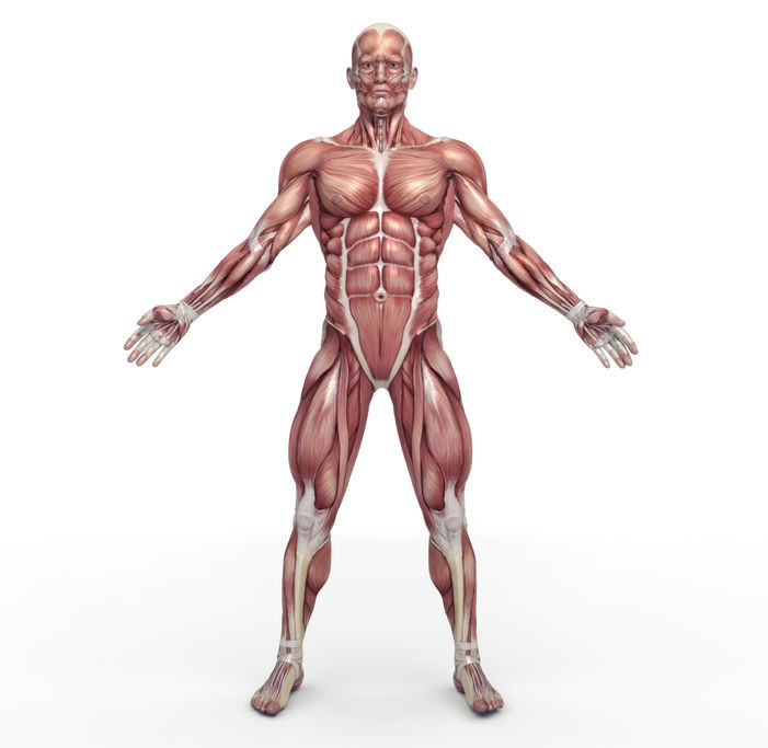 Spasmophilie