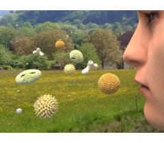 Allergie et rhume des foins