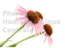 ECHINACEE EPS - Phytothérapie PhytoPrevent