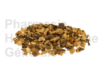 Gentiane- Gentiana lutea Plantes