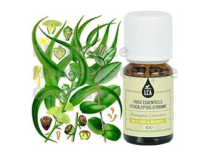 Huile essentielle d'Eucalyptus citronné bio  en cas  d'arthrose, tendinites