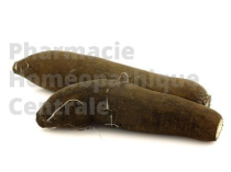 RADIS NOIR EPS - Phytothérapie PhytoPrevent
