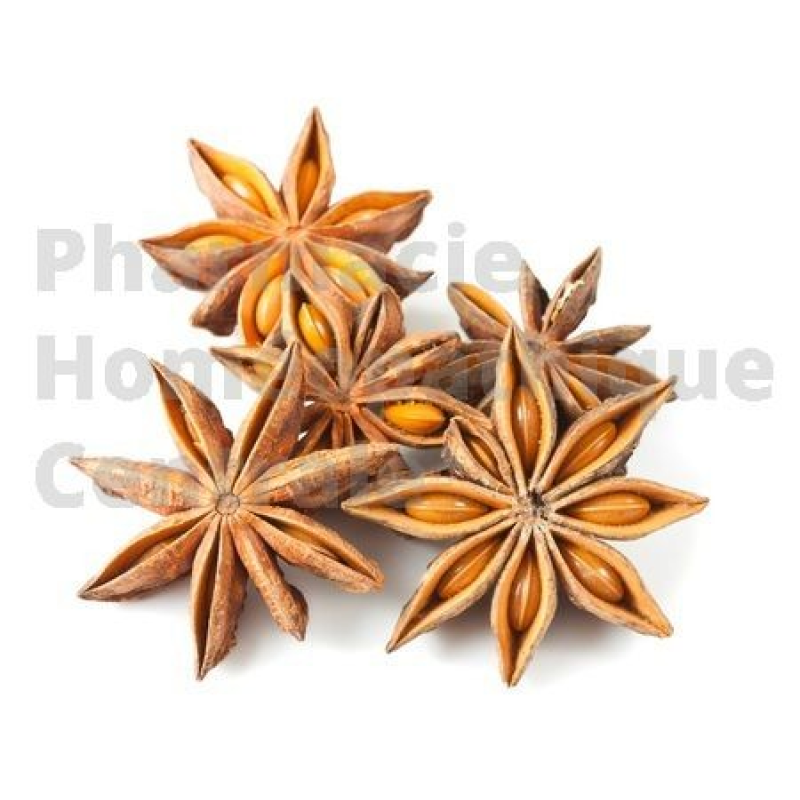 BADIANE DE CHINE - Illicium verum pour améliorer la digestion et lutter contre divers troubles digestifs