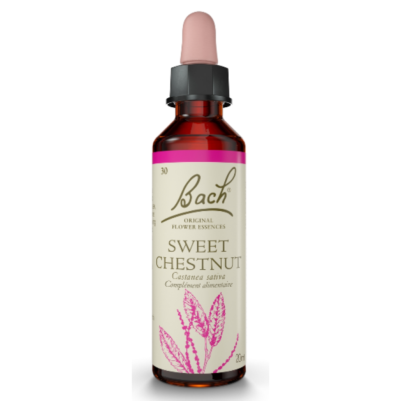 Fleurs de Bach Sweet chesnut n°30 - désespoir Rescue s'adresse aux personnes qui endurent des moments difficiles