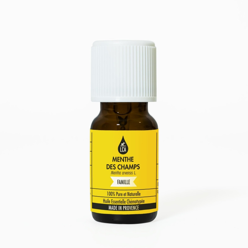 Huile essentielle de menthe des champs - Aromathérapie Flacon de 10 mL