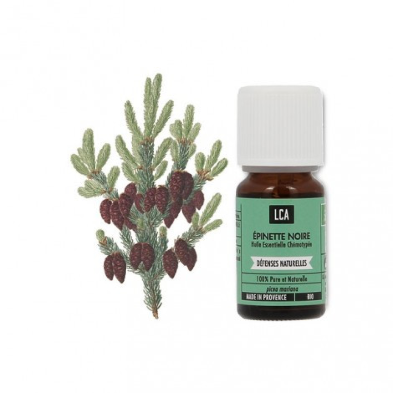Huile essentielle d'épinette noire ; fatigue ou de coup de pompe flacon de 5mL