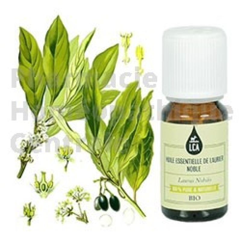 Laurier noble - huile essentielle bio en pharmacie - PHC