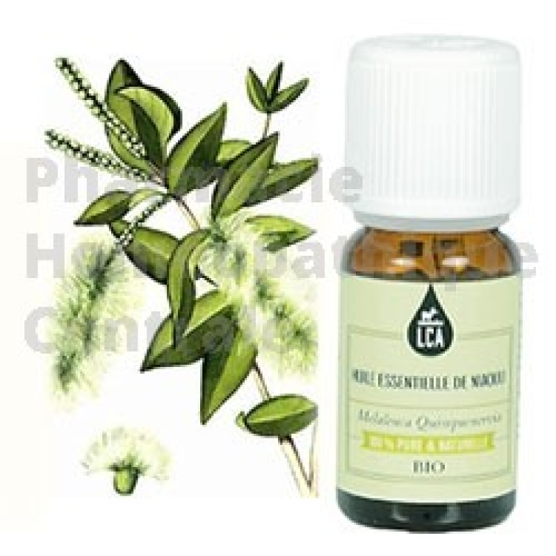 Niaouli est une huile essentielle bio antivirale et expectorante. Laboratoire LCA